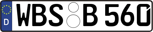 WBS-B560