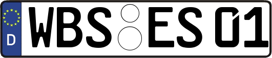 WBS-ES01