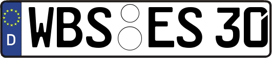 WBS-ES30
