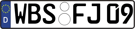 WBS-FJ09