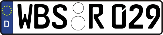 WBS-R029
