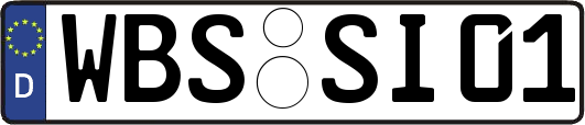 WBS-SI01
