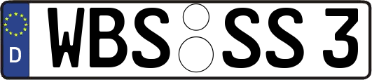 WBS-SS3