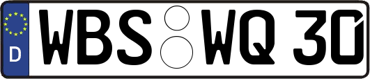 WBS-WQ30