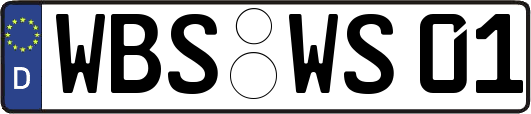 WBS-WS01