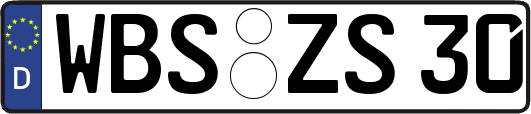 WBS-ZS30