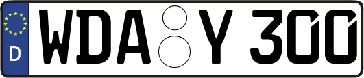 WDA-Y300