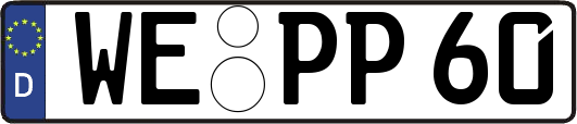 WE-PP60