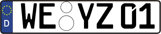 WE-YZ01