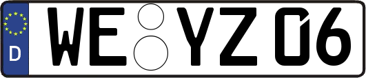 WE-YZ06