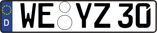 WE-YZ30