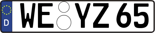 WE-YZ65