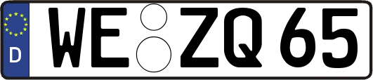 WE-ZQ65