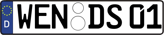 WEN-DS01
