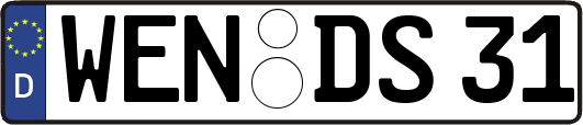 WEN-DS31