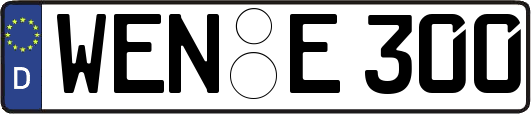 WEN-E300