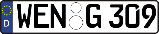 WEN-G309