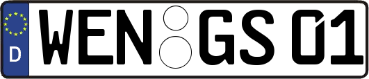WEN-GS01