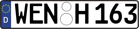 WEN-H163