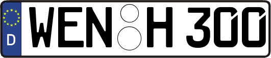 WEN-H300