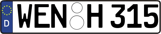 WEN-H315