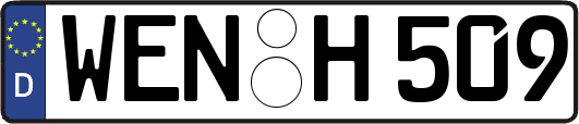 WEN-H509