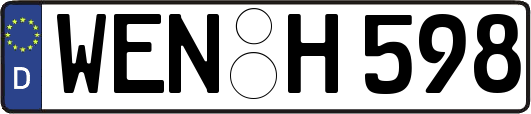 WEN-H598