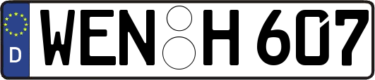 WEN-H607