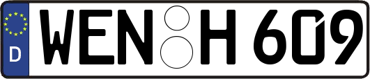WEN-H609