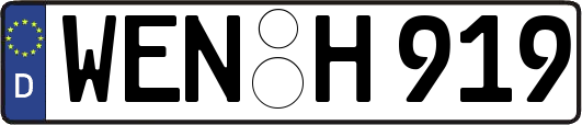 WEN-H919