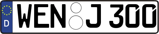 WEN-J300