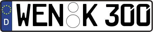 WEN-K300