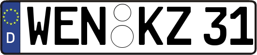 WEN-KZ31