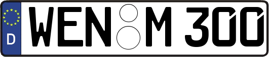 WEN-M300