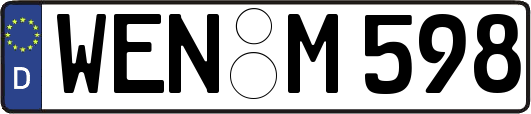 WEN-M598