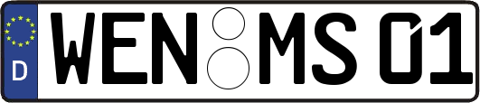 WEN-MS01