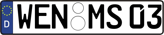 WEN-MS03