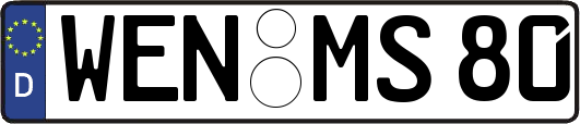 WEN-MS80