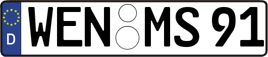WEN-MS91