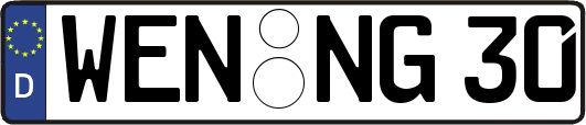 WEN-NG30