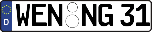WEN-NG31