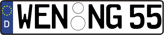 WEN-NG55