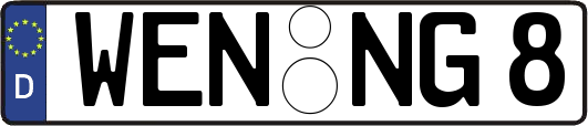 WEN-NG8