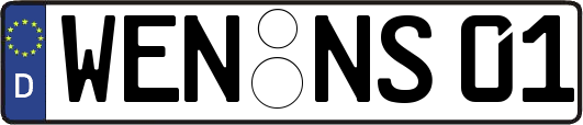 WEN-NS01