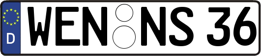 WEN-NS36