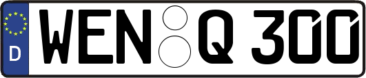 WEN-Q300