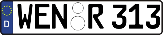 WEN-R313