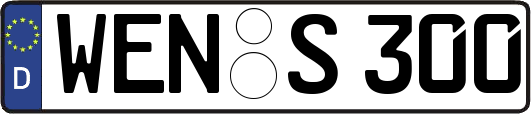 WEN-S300