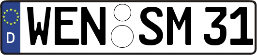 WEN-SM31