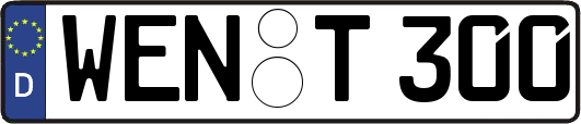 WEN-T300